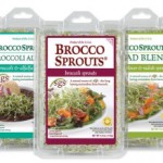 Living Foods that Protect You from Cancer: BROCCOLI SPROUTS 