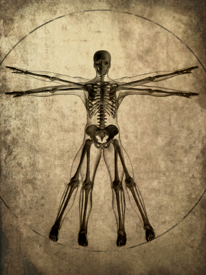 Bone Breaking Facts About Your Bones – Part 1