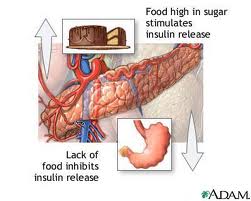 Insulin is a hormone