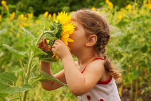 Child and sunflower