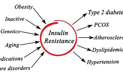 Practitioner Corner: Insulin Resistance Tools for Helping Your Clients
