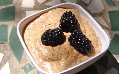 An Adrenal Vacation, Link Between Diabetes and Digestion, and Chia Breakfast Pudding Recipe!