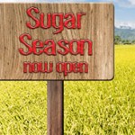 Cold Season, Flu Season – Sugar Season?