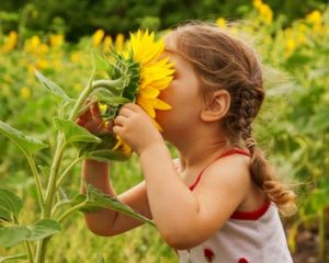 Child and sunflower, summer, nature and fun.