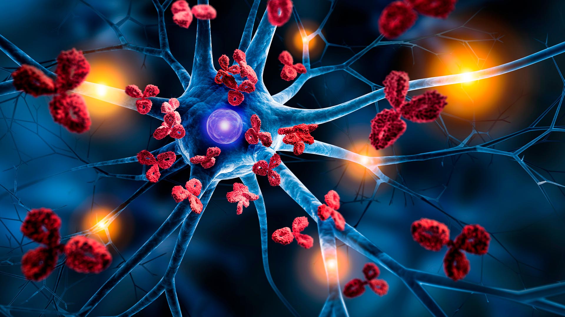 An image of a neuron promoting functional health with red cells.