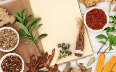 Adaptogens That Support Energy