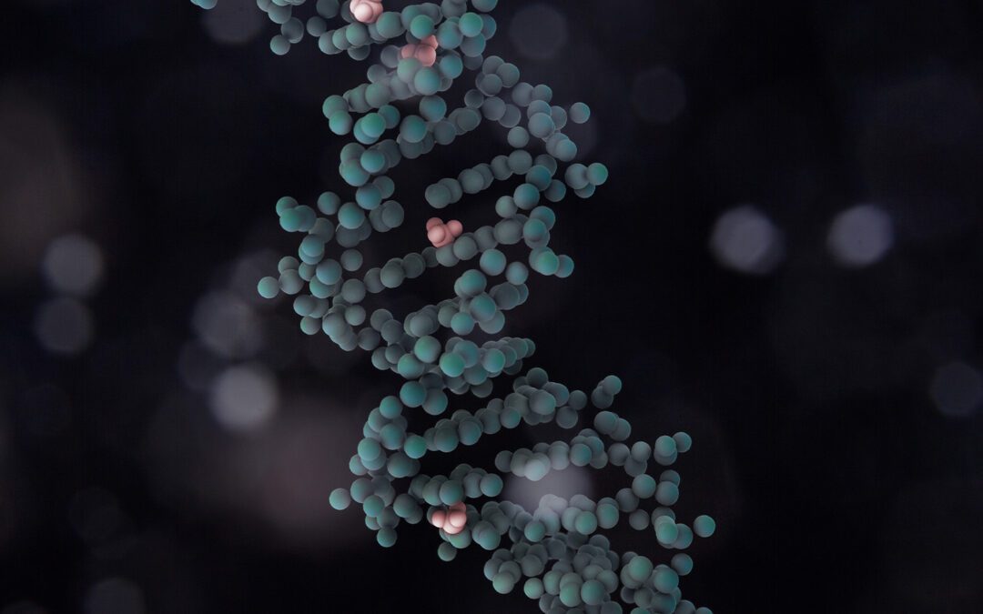 Methylation: How to Identify Genetic Vulnerabilities and Optimize Health.