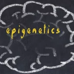 Can Epigenetics Turn Back the Hands of Your Telomere Clock?
