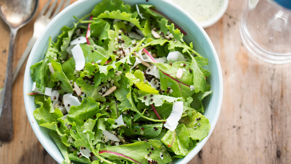 Gut Healing Salad with Coconut Ginger Dressing