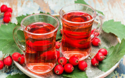 Hawthorn Berries Holiday Harmony Tea: A Loving Brew for Your Heart