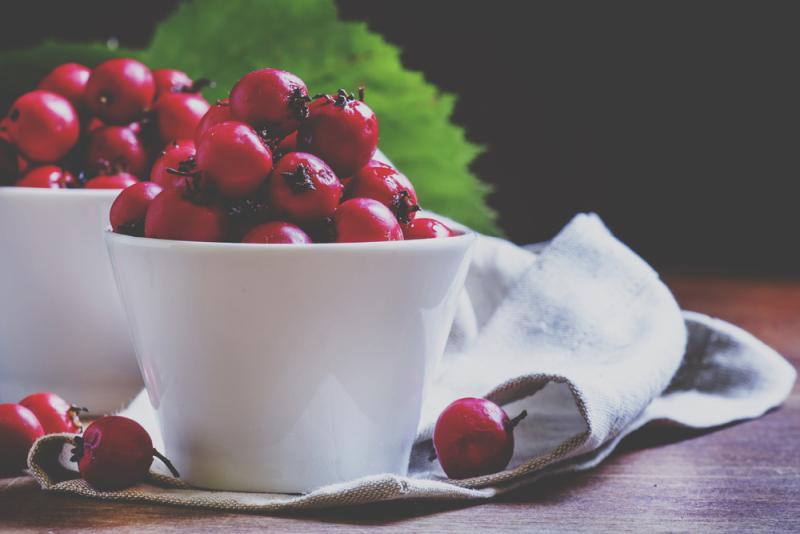 hawthorn berry in a cup
