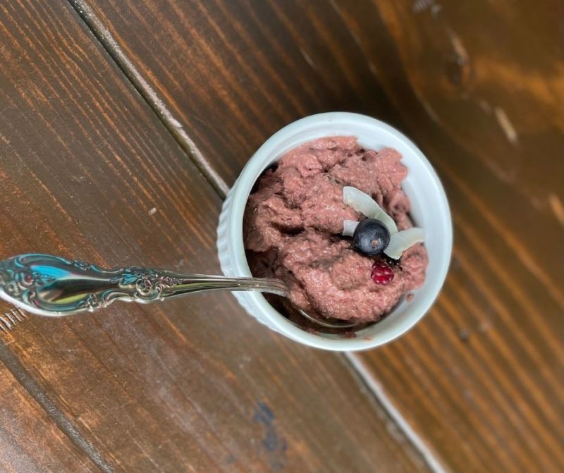 Best Vegan Chocolate Berry Coconut Ice Cream Alternative