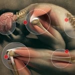 Eat Your Way Out of Pain and Inflammation