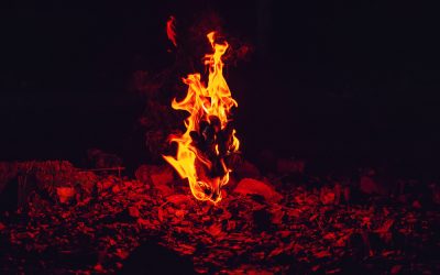 Wanna see Dr. Ritamarie walk through fire?
