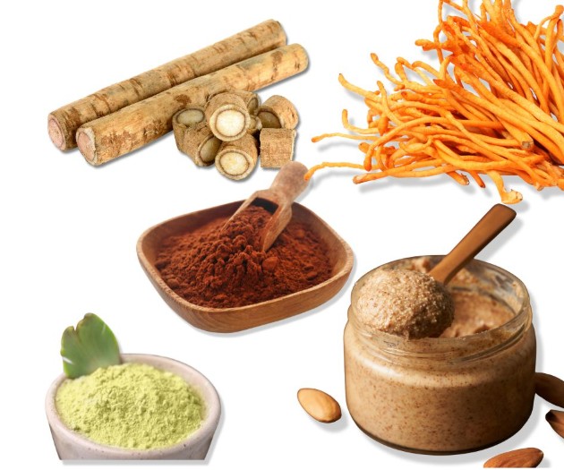 Various superfoods on a white background, including sliced burdock root, cordyceps mushrooms, a bowl of green powder, a bowl of brown powder with a scoop, and a jar of nut butter with a spoon.