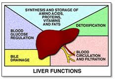 Kick Fatigue to the Curb and Cleanse Your Liver!