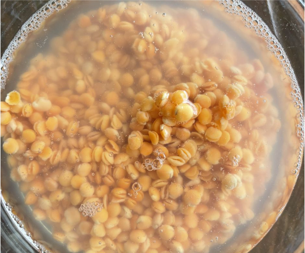 A close-up view of yellow lentils soaking in water in a glass bowl, with bubbles forming on the surface.
