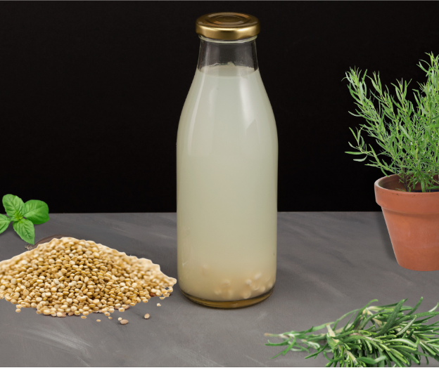 Fermented Quinoa